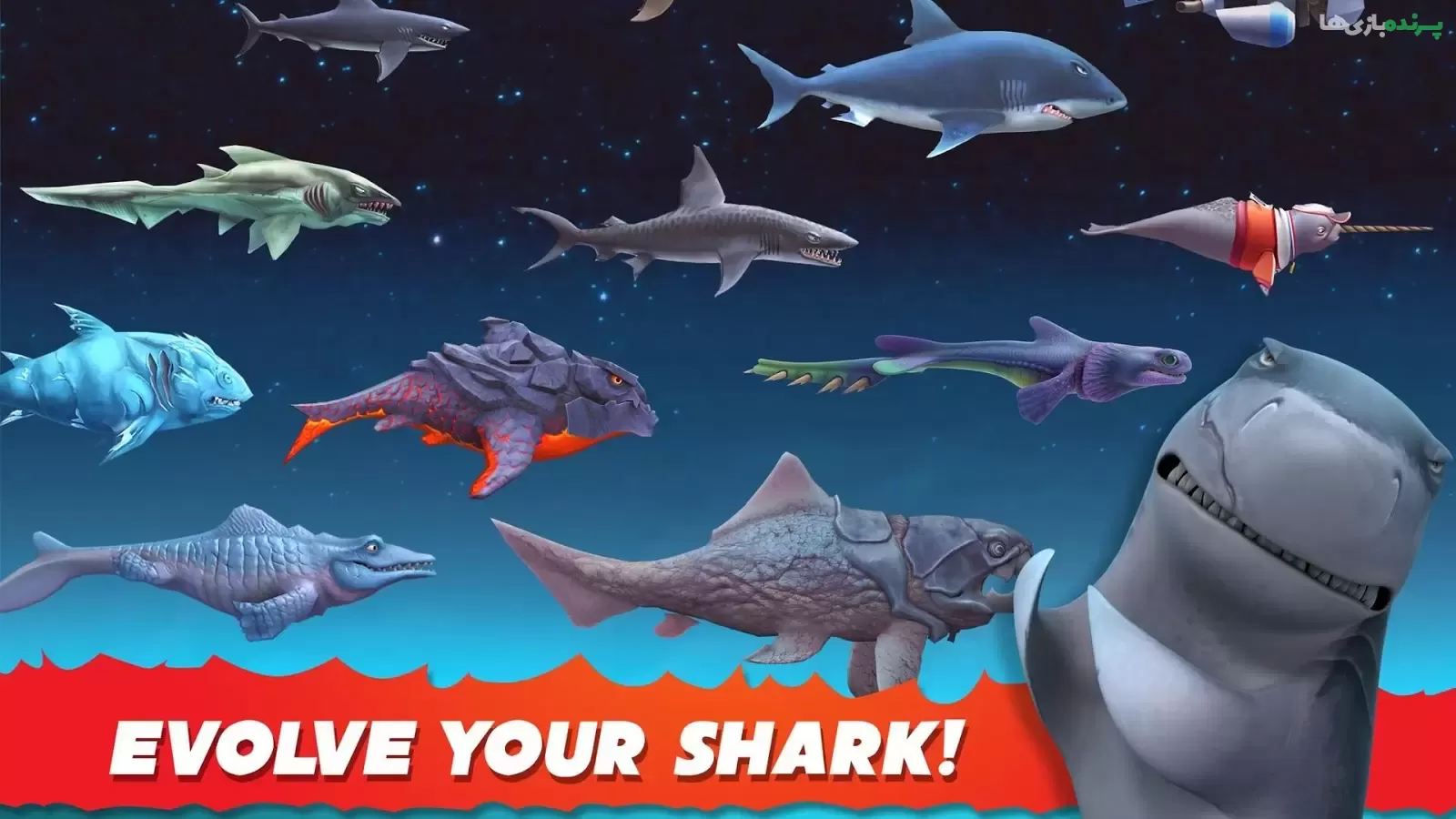 Hungry Shark Evolution 10.9.0 – بازی اکشن کوسه‌ی گرسنه اندروید + مود 